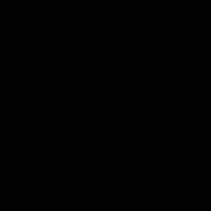 Meet your Posher, Leilani